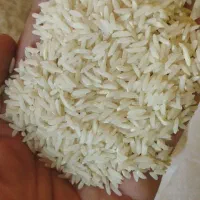 فروش برنج طارم هاشمی بوجاری امساله|خوردنی و آشامیدنی|ساری, |دیوار