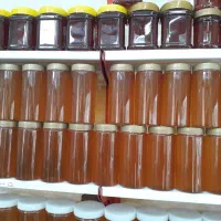 عسل با موم،گرده گل،ژل رویال،بره موم،تخم مرغ محلی|خوردنی و آشامیدنی|شهرکرد, |دیوار