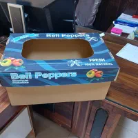 تولید انواع ورق کارتن و جعبه عمومی و اختصاصی|عمدهفروشی|شیراز, شهرک صنعتی شیراز|دیوار