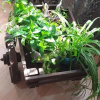 دکوری جا گلدانی گاری استند گل پینترسی|مجسمه، تندیس، ماکت|کرج, شهرک بنفشه|دیوار