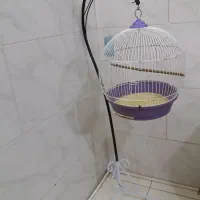 قفس|لوازم جانبی حیوانات|شهریار, شهرک بهاران (ویره)|دیوار