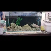 اکواریوم با تجهیزات و فیلتر سطلی