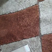 قالی پالاز درحد نو|فرش|شوشتر, |دیوار