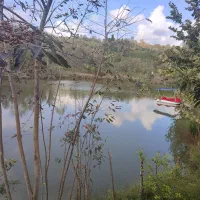 اجاره کلبه جنگلی|اجارهٔ کوتاهمدت آپارتمان و سوئیت|املش, |دیوار