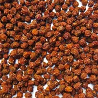 زرد الوی خشک و آلوچه خشک|خوردنی و آشامیدنی|تبریز, |دیوار