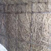 کولر آبی جنرال|کولر آبی|دامغان, |دیوار