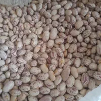 فروش لوبیا چیتی و سفید و قرمز درجه یک|خوردنی و آشامیدنی|باغ بهادران, |دیوار