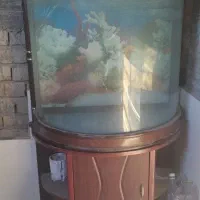 آکواریوم شیشه خم قدیمی جنس عالی