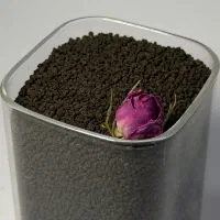 چای کله مورچه