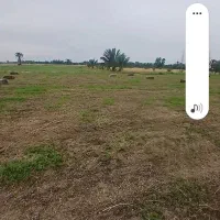 بیده پرس تراکتوری