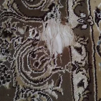 یه جفت فرش 6 متری گردویی|فرش|نیشابور, مبارکه|دیوار