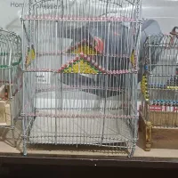 سه عدد قفس دستباف|لوازم جانبی حیوانات|پاکدشت, پاکدشت (مامازند)|دیوار