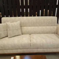 نیروی خانه دار