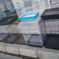 کلکسیون قفس های پرنده|لوازم جانبی حیوانات|تربت‌حیدریه, شهید قرنی|دیوار