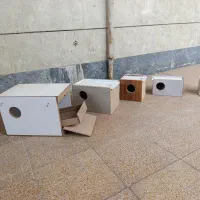 ساخت انواع لونه پرنده به سفارش مشتری آماده هم هست|لوازم جانبی حیوانات|بندر ماهشهر, |دیوار