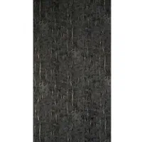 نصب قرنیز ترمووال تی‌وی وال تضمینی|خدمات پیشه و مهارت|کهریزک, |دیوار