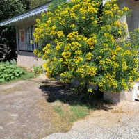 ویلا خانوادگی قاسمی ۲