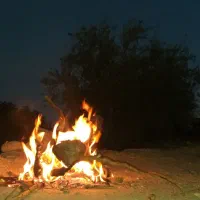 وانت دارم از شیراز به یاسوج بار میارم فقط امشب