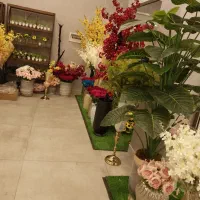 گل ها و درخت چه های وارداتی و تنوع بالا|گل مصنوعی|سهند, |دیوار