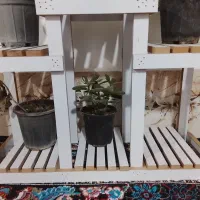 پایه گل|گل و گیاه طبیعی|سربیشه, |دیوار