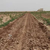 فروش-زمین-100هکتاری-قزوین-بویین-زهرا