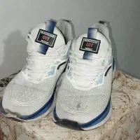 کتونی درحد|کیف، کفش، کمربند|نسیم‌شهر, |دیوار