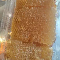 عسل درمانی بوژان ویژه عزیزان دیابتی