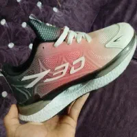 اسیکس|کیف، کفش، کمربند|کنگاور, |دیوار