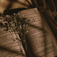 مافیایی شروع کن