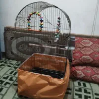 قفس