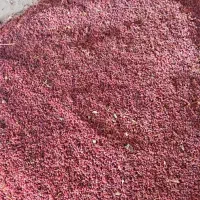 زرشک پوفکی|خوردنی و آشامیدنی|سده (خراسان جنوبی), |دیوار