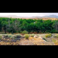 راهنمایی زمین گوغر