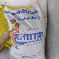 خوراک مرغ تخم گذار خانگی