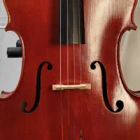 ویلنسل - cello|ویولن|مشهد, موسوی قوچانی|دیوار