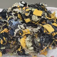 کانوا برای بالشت