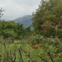 فروش زمین مسکونی با پروانه ساخت