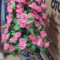 گل و درختچه ی بسیار زیبا و استفاده نشده|گل مصنوعی|زابل, |دیوار