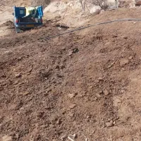 فروش پهن گوسفندی خشک و پوسیده|خدمات باغبانی و درختکاری|فیرورق, |دیوار