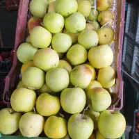 انارسیب هویج آبگیری قیمت عمده ارسال به سراسرتهران|خوردنی و آشامیدنی|تهران, میدان میوه و تره‌بار مرکزی|دیوار