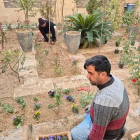 باغبانی سم پاشی هرسکاری کوددهی بامهر فاکتور شرکت