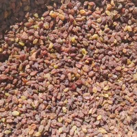 کشمش و لوبیا