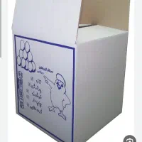 کارتن تخم مرغ