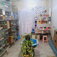 مغازه|اجارهٔ مغازه و غرفه|مشهد, ایثارگران|دیوار