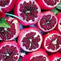 نهال انار واندرزفول