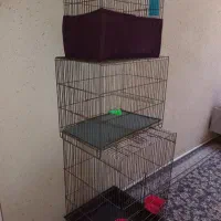 قفس پرنده
