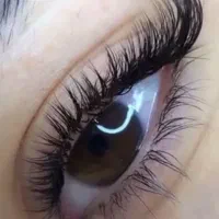 میکاپ،شنیون