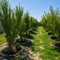 تعدادی قطعه های اقتصادی،(در شهریار )