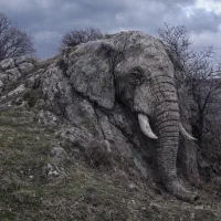 نماد شناسی آثار باستانی