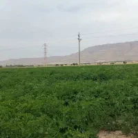فروش ۱ هکتار با چاه برقی