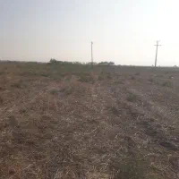 زمین کشاورزی